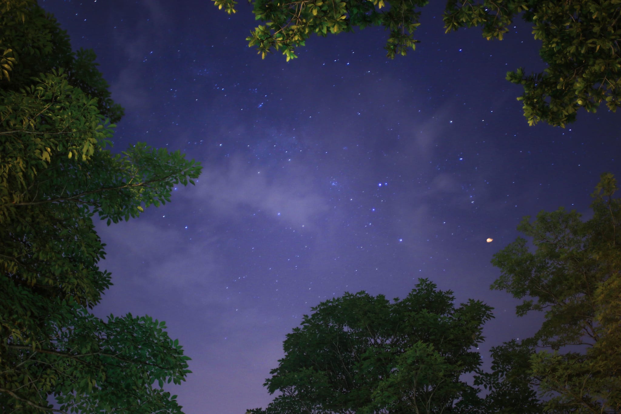 Il Paesaggio Sonoro-Coaching nella Natura-venerdi 1 luglio serata Sotto le Stelle