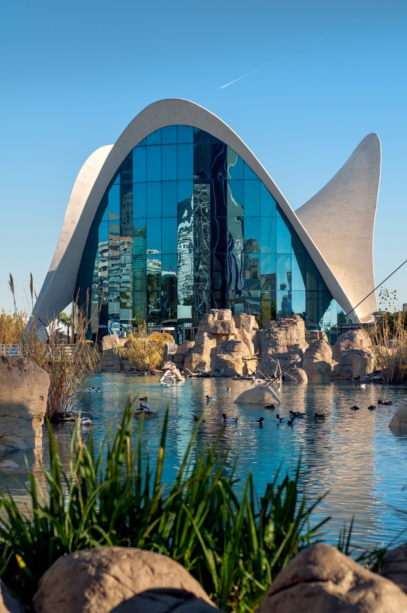 GREENCITY Treks a VALENCIA “dal bioparco alla città verde del futuro” 19-24 novembre