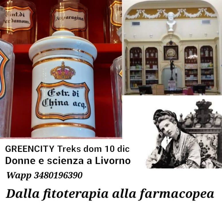 Dalla fitoterapia alla farmacopea – domenica 10 dicembre